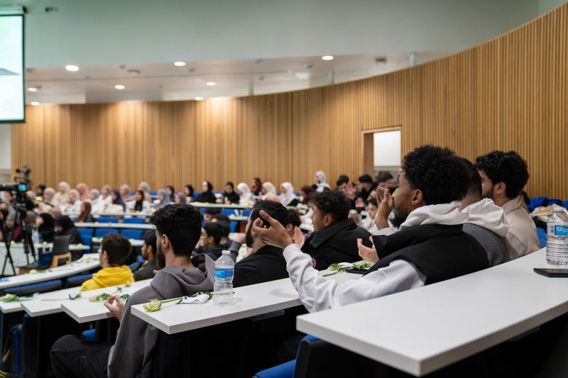 Journey of the Lady of Light